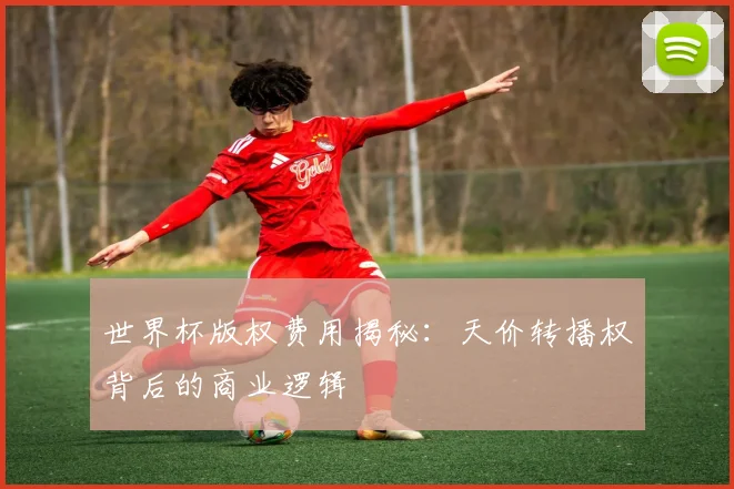 世界杯版权费用揭秘：天价转播权背后的商业逻辑