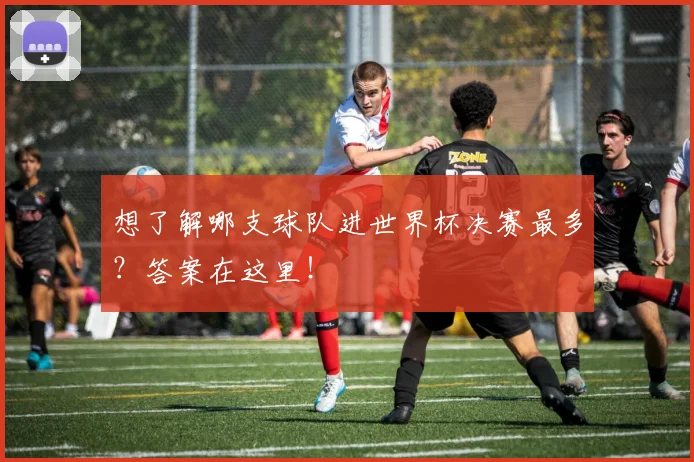 想了解哪支球队进世界杯决赛最多？答案在这里！