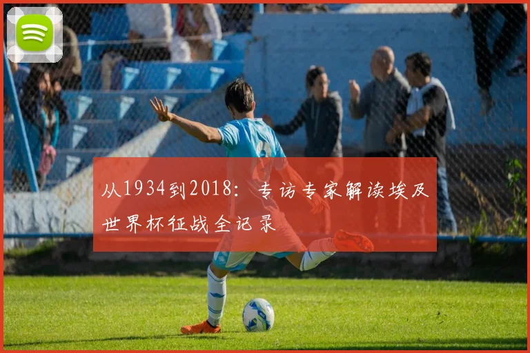 从1934到2018：专访专家解读埃及世界杯征战全记录