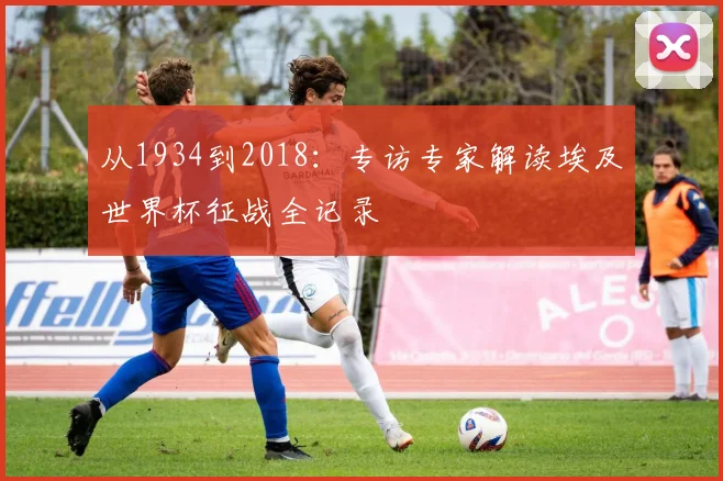 从1934到2018：专访专家解读埃及世界杯征战全记录