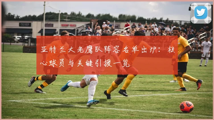 亚特兰大老鹰队阵容名单出炉：核心球员与关键引援一览