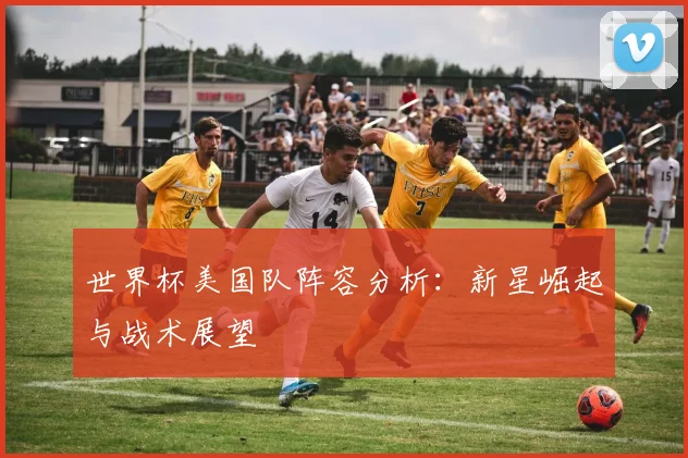 世界杯美国队阵容分析：新星崛起与战术展望