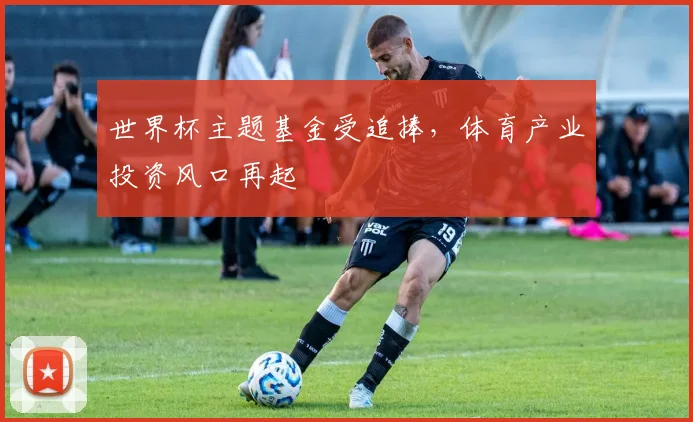 世界杯主题基金受追捧，体育产业投资风口再起